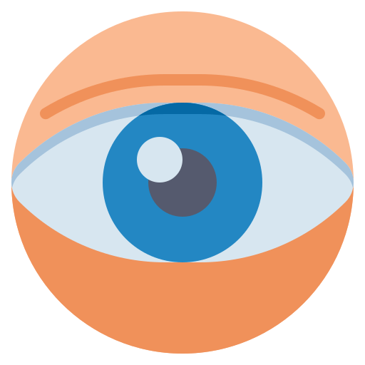 human eye icon